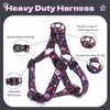 QQPETS Dog Harness Leash Set Adjustable Heavy Duty No Pull