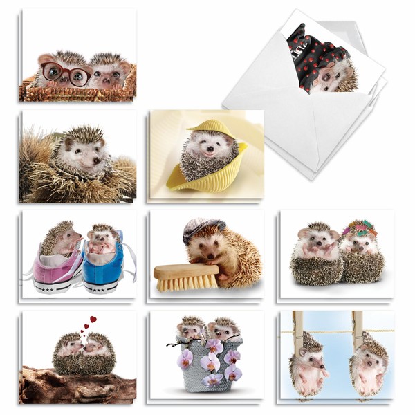 The Best Card Company - 20 Cute Kids Cards Boxed (4 x 5.12 Inch) - Assorted Blank Set (10 Designs, 2 Each) - Cards From The Hedge AM6541OCB-B2x10