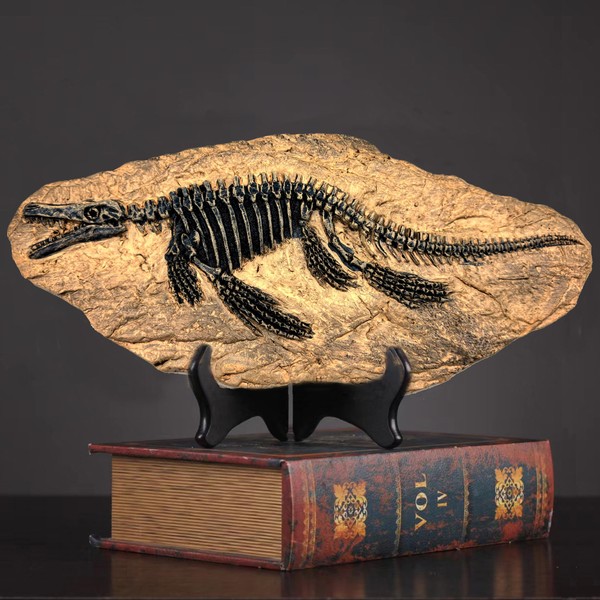 XINDAM Resin Mosasaurus Dinosaur Fossil Figure Statue Model Simulated Skeleton