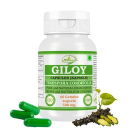 Morsan Nutraveda Giloy-Kapsel 500 mg. 60 Veganer. Einheiten | Guduchi (Tinospora Cordifolia) Extrakt-Kapseln fr M?nner und Frauen | Ayurvedische Kr?utererg?nzung/Heilmittel | 10:1 St?rke (1 Flasche mit 60 Kapseln)