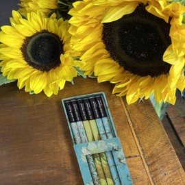 Van Gogh Pencil Set | gifts for her | stationery set | drawing pencils | birthday gifts for her | stationery supplies | cool stuff | gift for women | back to school