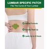 120pcs Back Heat Patches, Warming Herbal Maximum Strength Heat Patches,