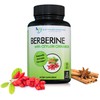 DOCTOR RECOMMENDED SUPPLEMENTS Berberine with Ceylon Cinnamon - 1200mg Berberine