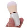 Ipetboom Professional Mini Makeup Brush Set Retractable Travel Size Blush