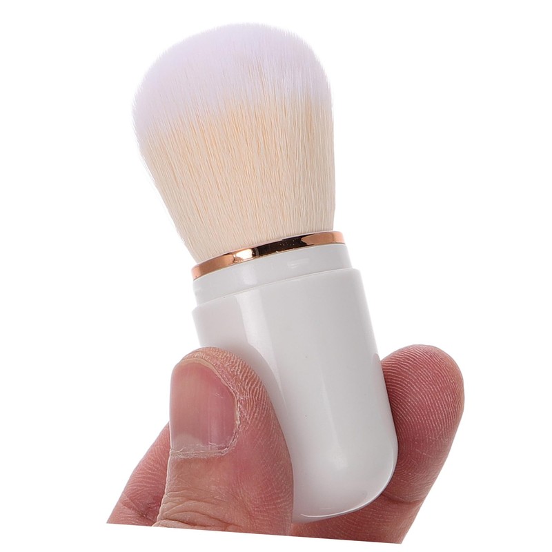 Ipetboom Professional Mini Makeup Brush Set Retractable Travel Size Blush