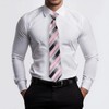 TigerTie Security Tie in Striped - Pre-tied with Elastic Band,