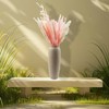 hhdatc 47Pcs Pink Pampas Grass Decor,Fall Pampas Grass Decor Dried