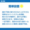 Kazutaro Nobori, Flag Roll Prevention, Improved Blowing Prevention, Streamers Prevention