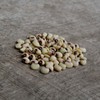 Pink-Eyed Purple Hull Cowpea - 50 Seeds - Heirloom Variety,