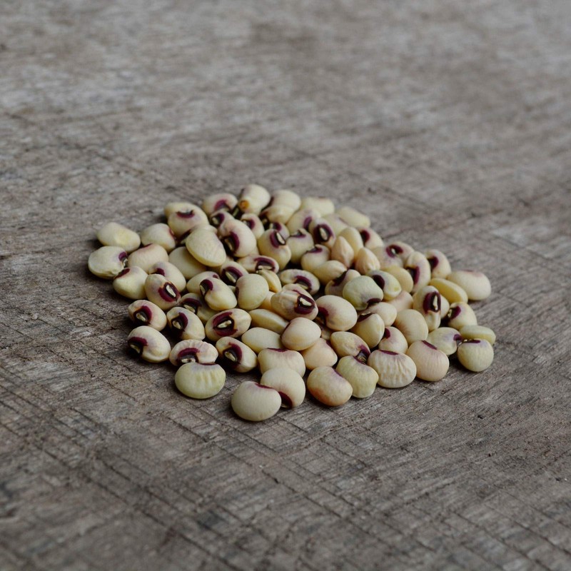 Pink-Eyed Purple Hull Cowpea - 50 Seeds - Heirloom Variety,