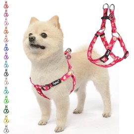 PUPTECK No Pull Dog Harness Soft Adjustable Basic Nylon Step in Puppy Vest Outdoor Walking with ID Tag, Fuchsia Daisy, S