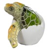 Cute Things Adorable Baby Sea Turtle Hatching from Egg 3