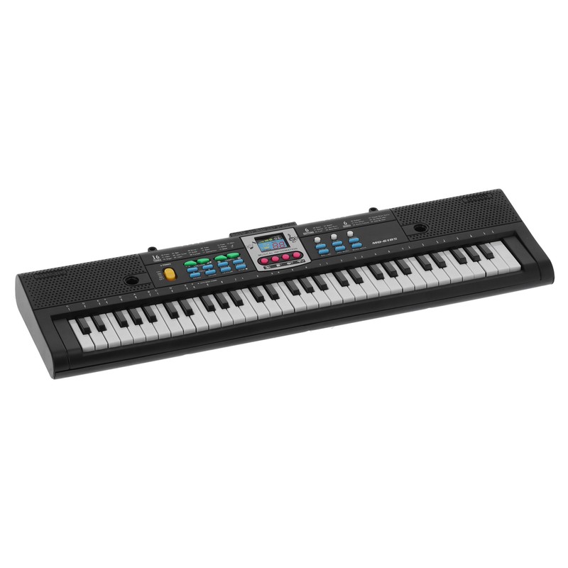 61Key Mini Electric Piano Black MultiFunctional Studio Toy with Microphone