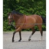 Equipride Lunging Aid Made on Soft Cotton Colour Red/Grey in