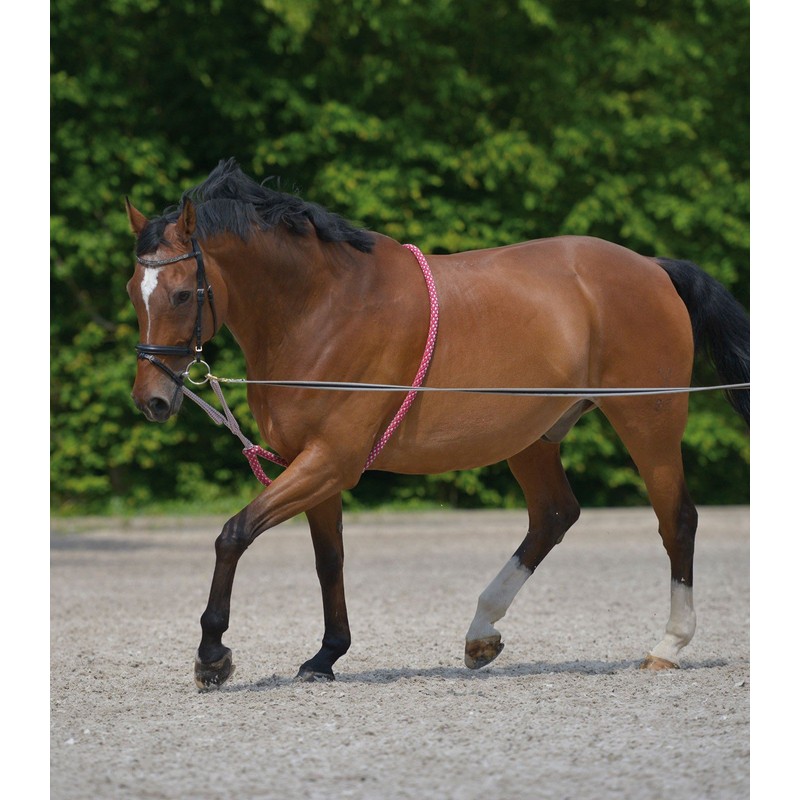 Equipride Lunging Aid Made on Soft Cotton Colour Red/Grey in