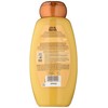 Garnier Whole Blends Repairing Shampoo, Honey Treasures extracts, 22 Fluid
