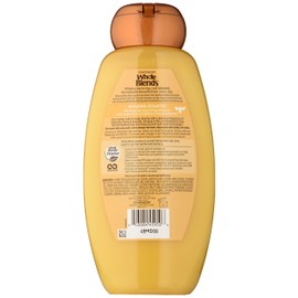 Garnier Whole Blends Repairing Shampoo, Honey Treasures extracts, 22 Fluid Ounce