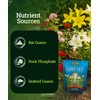 FoxFarm Happy Frog Cavern Culture Bat Guano Fertilizer - 1-12-0