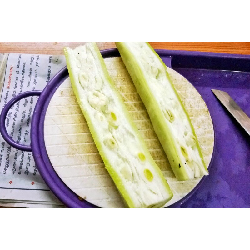 TomorrowSeeds Buag Ngu Snake Gourd |White Striped Green Serpent Luffa