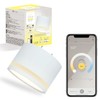 Edison Smart 3-Way Lighting Mini Ceiling Light TREO for Hooked
