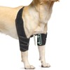 Lyderpet Dog Elbow Brace with Metal Splint,Hygroma Elbow Protector Pads
