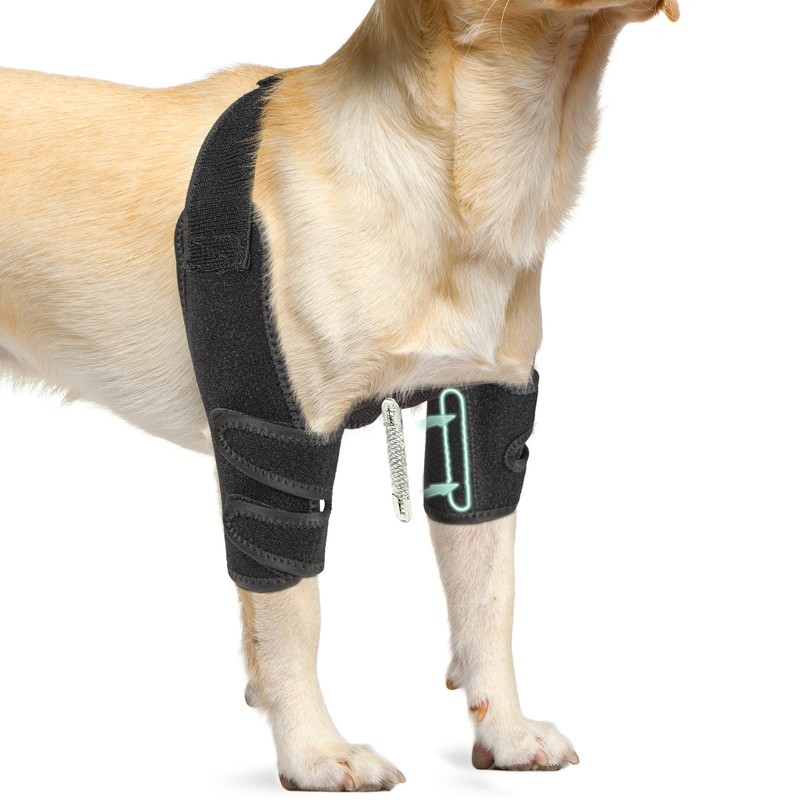Lyderpet Dog Elbow Brace with Metal Splint,Hygroma Elbow Protector Pads