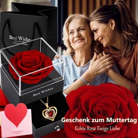 Willuck Ewige Rose Damen Geschenke für Freundin, Konservierte Blume Infinity Echte Rosenbox Geburtstagsgeschenk für Frauen Weihnachten Valentinstag Jahrestag Muttertagsgeschenk für Mama