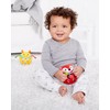 Skip Hop Explore and More Roll Around Fox Rattle