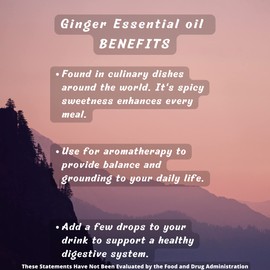 USDA Organic Ginger Essential Oil – Therapeutic Grade- Diffuser Oil - 100% All Natural - with Glass Dropper