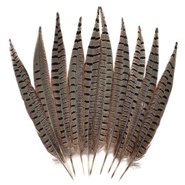 FeelfunFeather 5pcs Pheasant Feather 14-16inch 35-40cm Natural Male Ringneck Tails Feathers for DIY Crafts Home Wedding Party Carnival Decoration