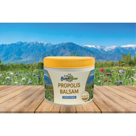 BayernBlume Propolis Balm Extra Strong (200 ml) with Valuable Oils and Shea Butter, Protection for Sensitive Skin, Promotes Regeneration of Small Skin Damage, Relieves Itching and Tension