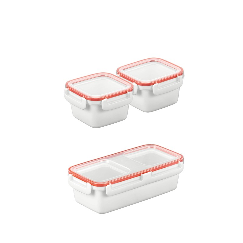 Tescoma Freshbox Lunch Box with Insulated Cooler Bag, Plastic, No