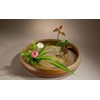JapanBargain Japanese Ikebana Kenzan Flower Arrangement Needle Frog (3-3/4x2-1/4)