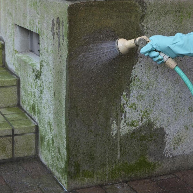 Nihon Miracon Sangyo Outdoor Cleaning Exterior Algae, Moss, Mold Remover