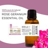 GreenHealth Rose Geranium Essential Oil - 4 fl oz Amber