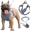 Wocharm Dogs Breathable Harness with Leash Adjustable Outdoor Walking Pet