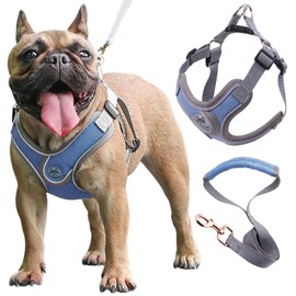 Wocharm Dogs Breathable Harness with Leash Adjustable Outdoor Walking Pet Puppy Vest （S,Blue）