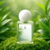 Chahyang |Elegant green tea scent brewed instead of tea leaves