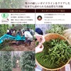 Cedar Farm Salted Fresh Pepper (Organic JAS Certified), Kampot Pepper
