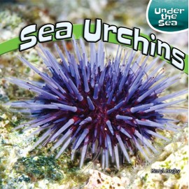 Sea Urchins (Under the Sea (Powerkids))
