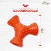 Dog Toys – Cogno by Doggo Box, Interactive Dog Toys