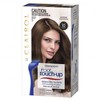 Clairol Buy Clairol Root Touch Up 5 Medium Brown Online | Chempro Chemists