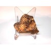 Rockhound's 1st Choice Rock Tumbler Gem Refill Kit -Mexico Star