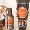 Tesori d'Oriente Fior di Loto Shower Gel 250 ml x1