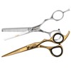"Silver and Gold" Shear Combo