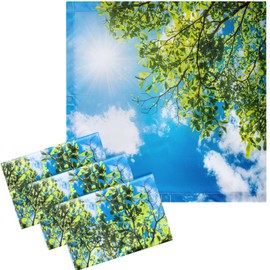 VIHOSE 4 Pcs 2 x 2 Feet Fluorescent Light Covers for Ceiling Lights Classroom Light Covers for Reducing Harsh Glare Flicker Magnetic Light Filters for Office Classroom Home Drop Ceiling (Sky Leaves)