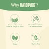 HANDPICK, Assorted Tea Sampler Gift Set - 8 Flavors, 40