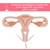 Cervix Sperm Cup,Transparent Color