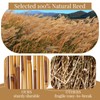 2 Pcs Natural Reed Bamboo Fencing Roll, Bamboo Privacy Screen