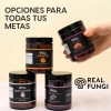 Reishi Extracto Premium